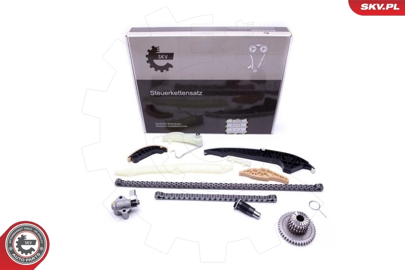 Timing Chain Kit